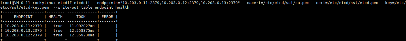 image-20250104203338573